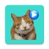 特狗APP